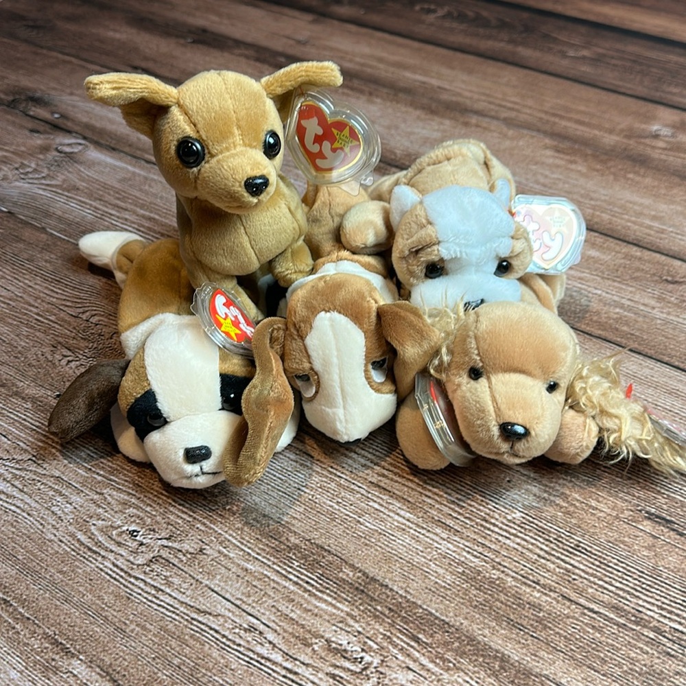 Lot of 5 Dog Beanie Babies - Spunky, Tiny, Wrinkles, Tracker, Bernie
